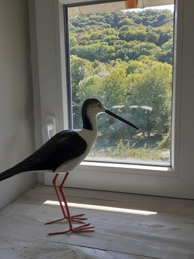 La Grange Aux Oiseaux *